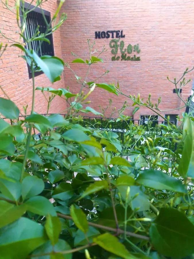 סאו פאולו Hostel Flor De Maria ברזיל