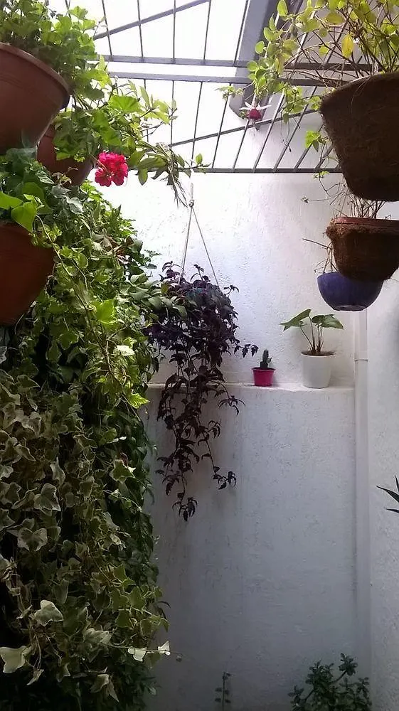 סאו פאולו Hostel Flor De Maria