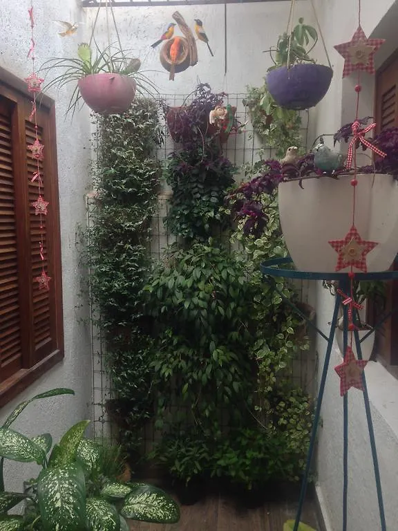 סאו פאולו Hostel Flor De Maria 0*, סאו פאולו ברזיל